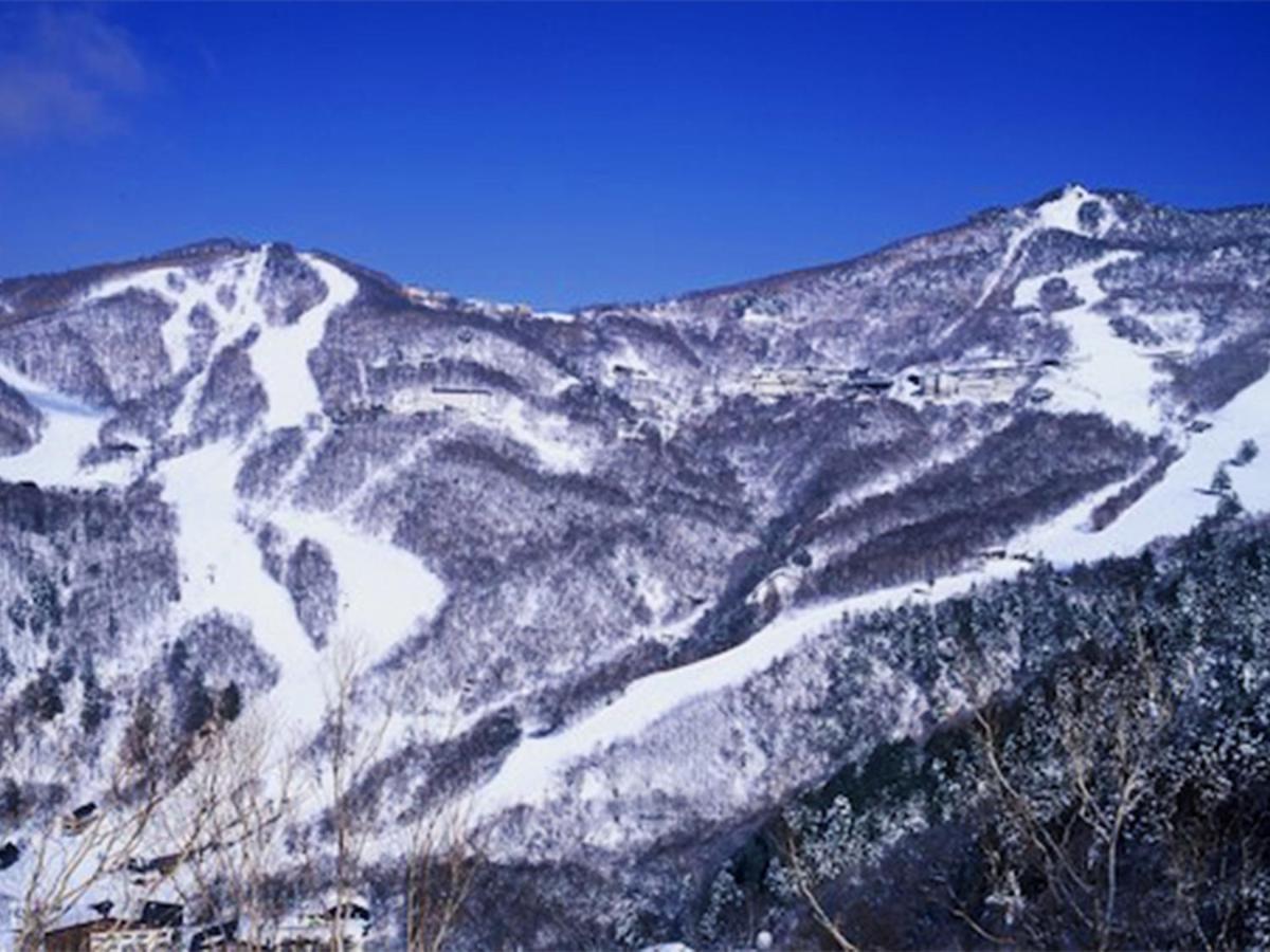 Shiga Swiss Inn Shiga Kogen Esterno foto