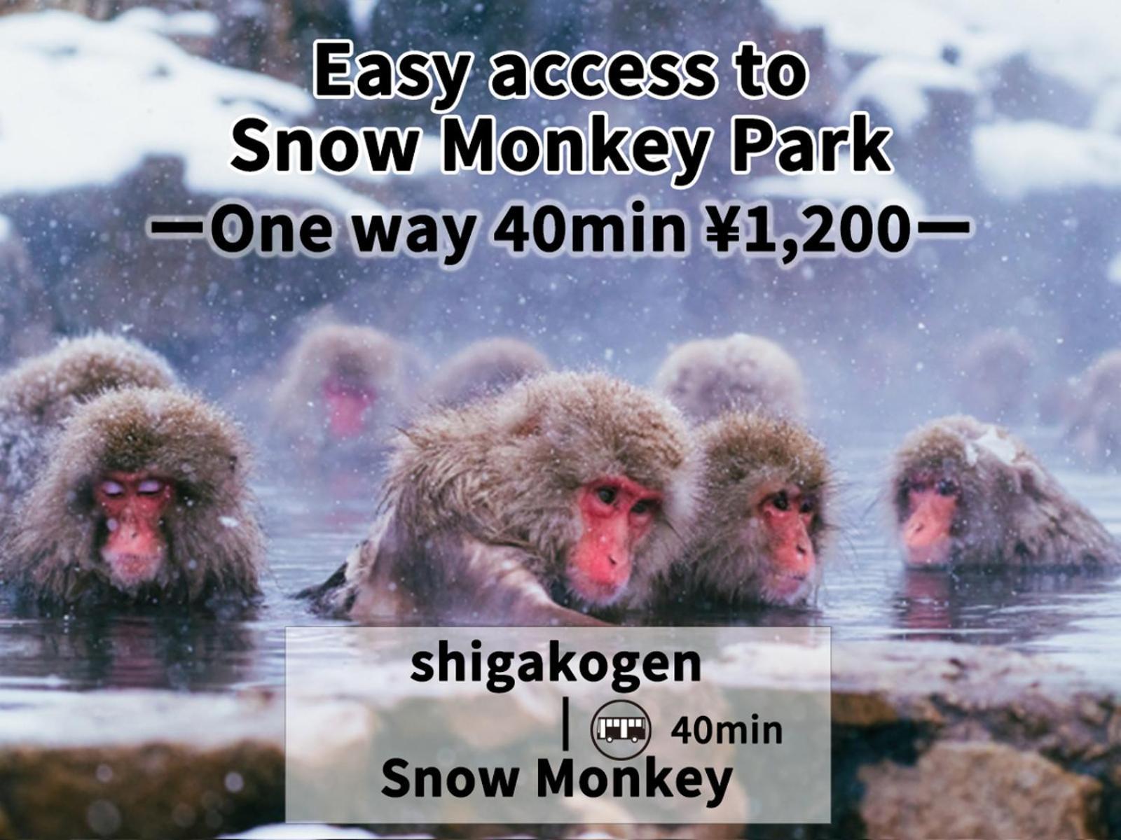 Shiga Swiss Inn Shiga Kogen Esterno foto